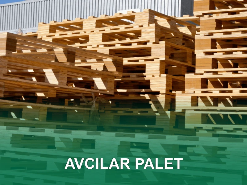 Avcılar Palet Galeri 1