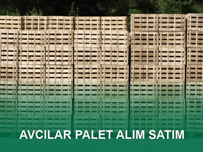 Avcılar Palet Galeri 3