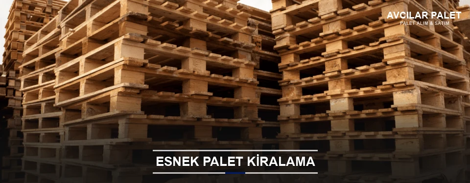 Avcılar Uygun Fiyatlı Palet Kiralama